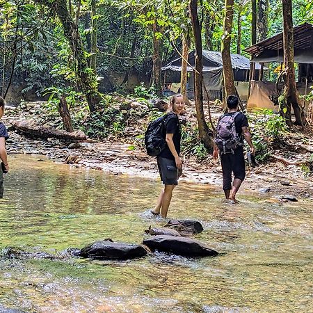 Thejungleguide - Lodges & Treks Bukit Lawang Zewnętrze zdjęcie