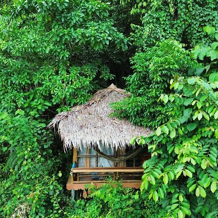 Thejungleguide - Lodges & Treks Bukit Lawang Zewnętrze zdjęcie