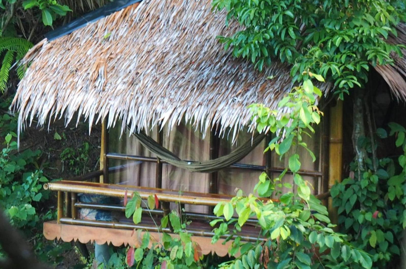 Thejungleguide - Lodges & Treks Bukit Lawang Zewnętrze zdjęcie