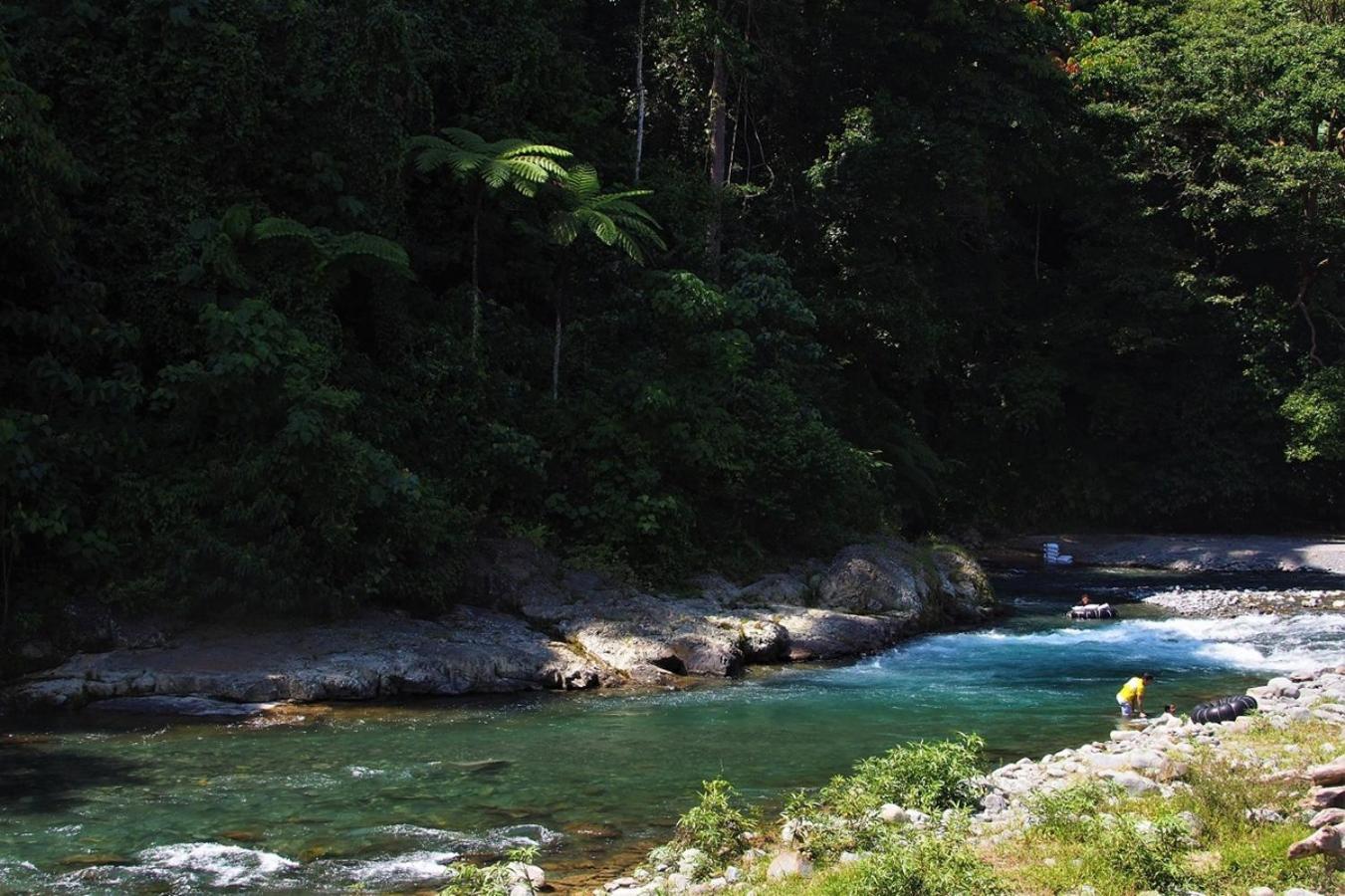 Thejungleguide - Lodges & Treks Bukit Lawang Zewnętrze zdjęcie