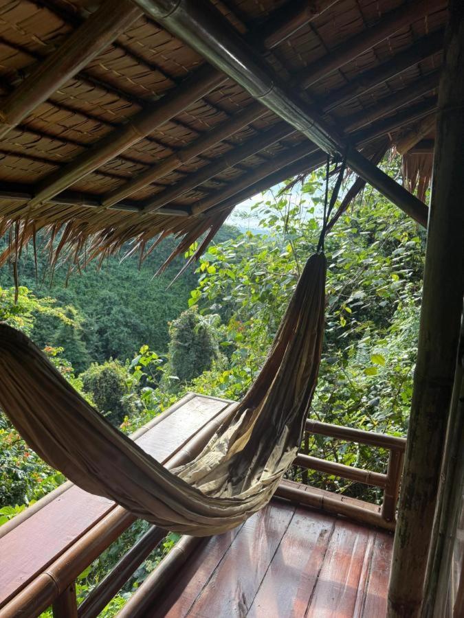Thejungleguide - Lodges & Treks Bukit Lawang Zewnętrze zdjęcie