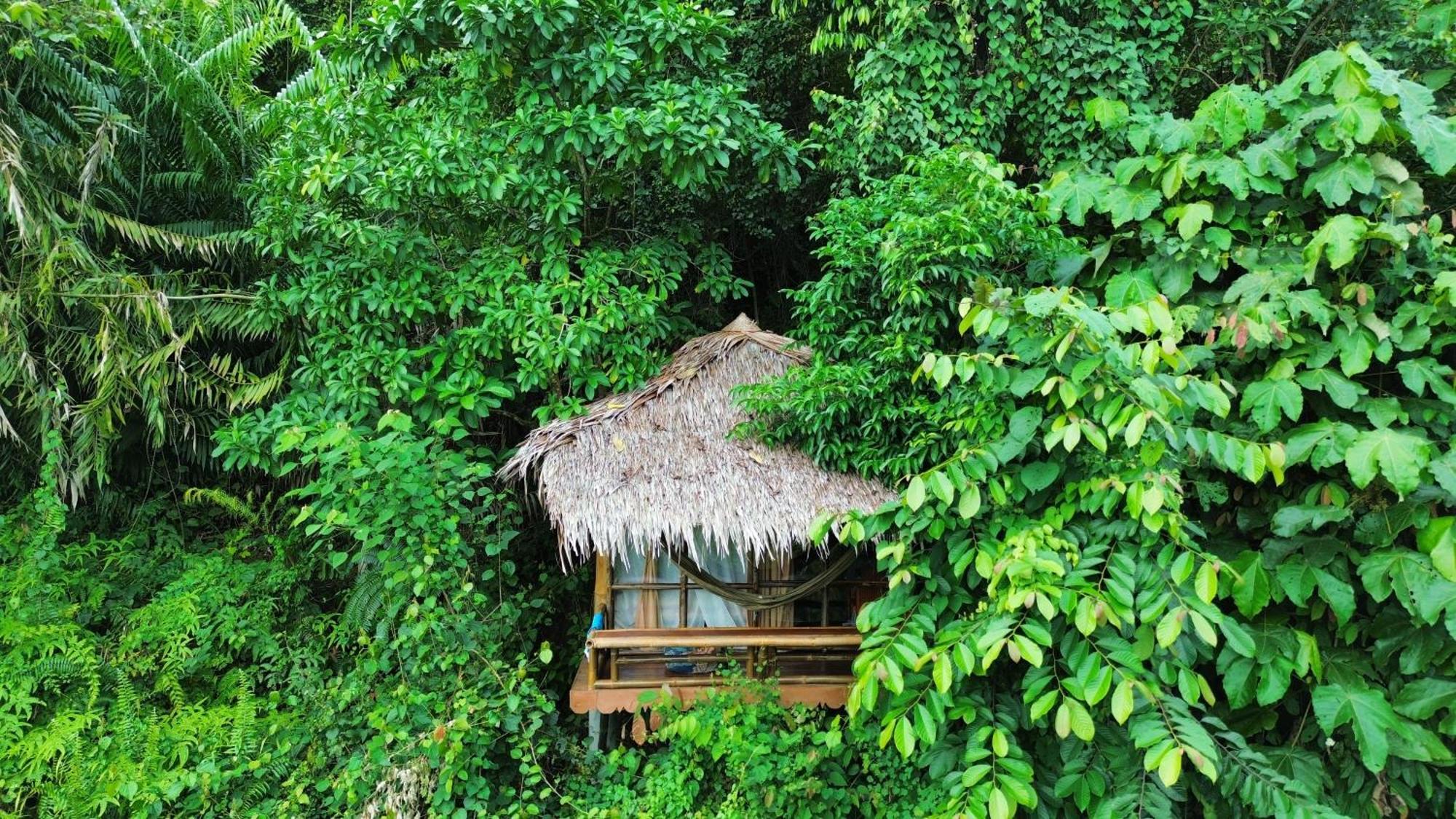 Thejungleguide - Lodges & Treks Bukit Lawang Zewnętrze zdjęcie