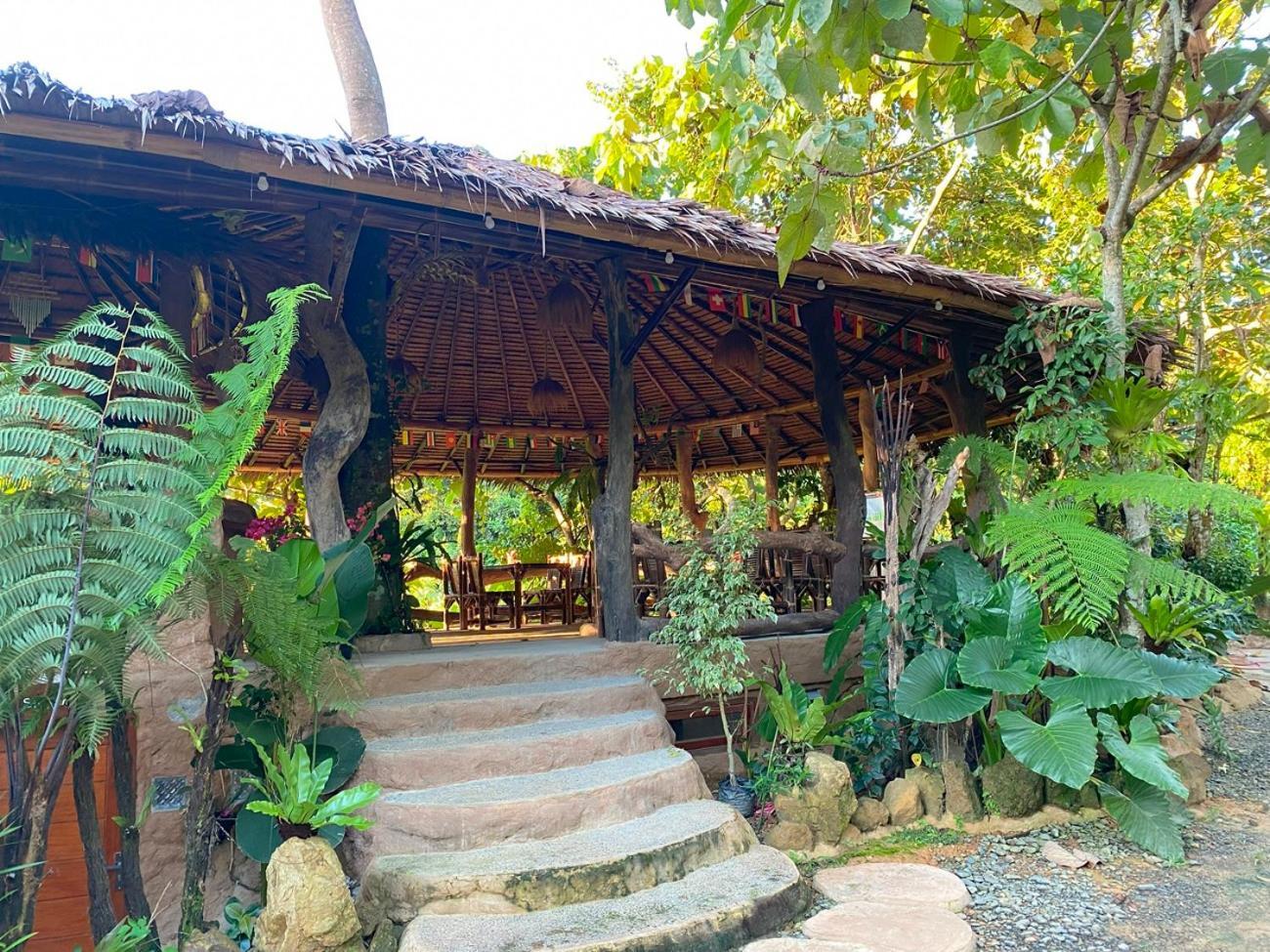Thejungleguide - Lodges & Treks Bukit Lawang Zewnętrze zdjęcie