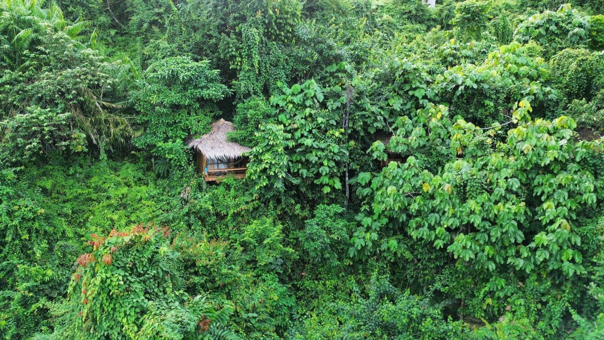 Thejungleguide - Lodges & Treks Bukit Lawang Zewnętrze zdjęcie